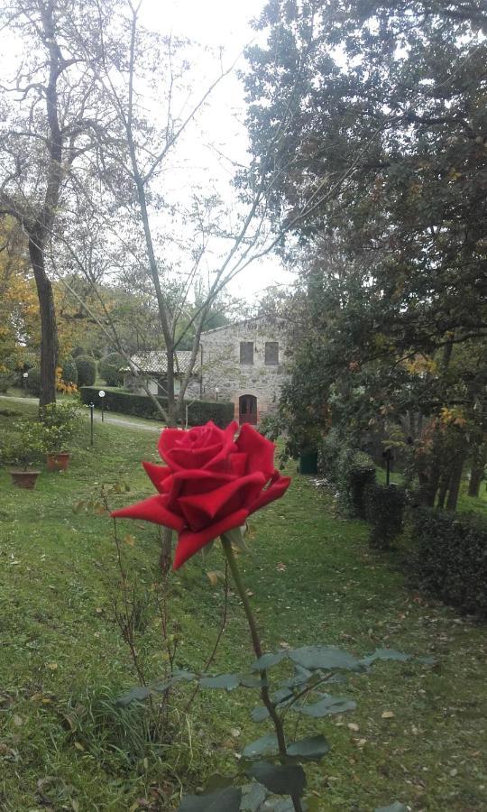 Castel Viscardo Agriturismo Il Cornalino מראה חיצוני תמונה