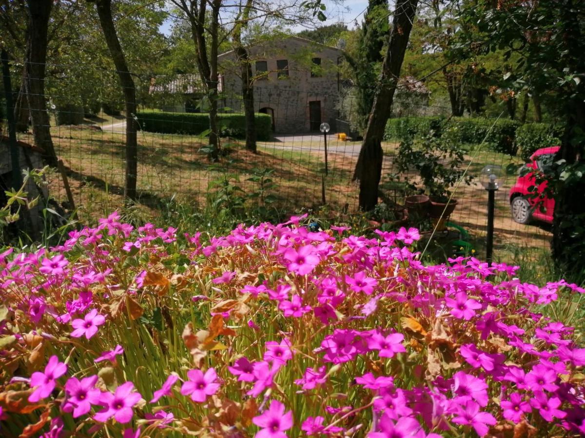 Castel Viscardo Agriturismo Il Cornalino מראה חיצוני תמונה