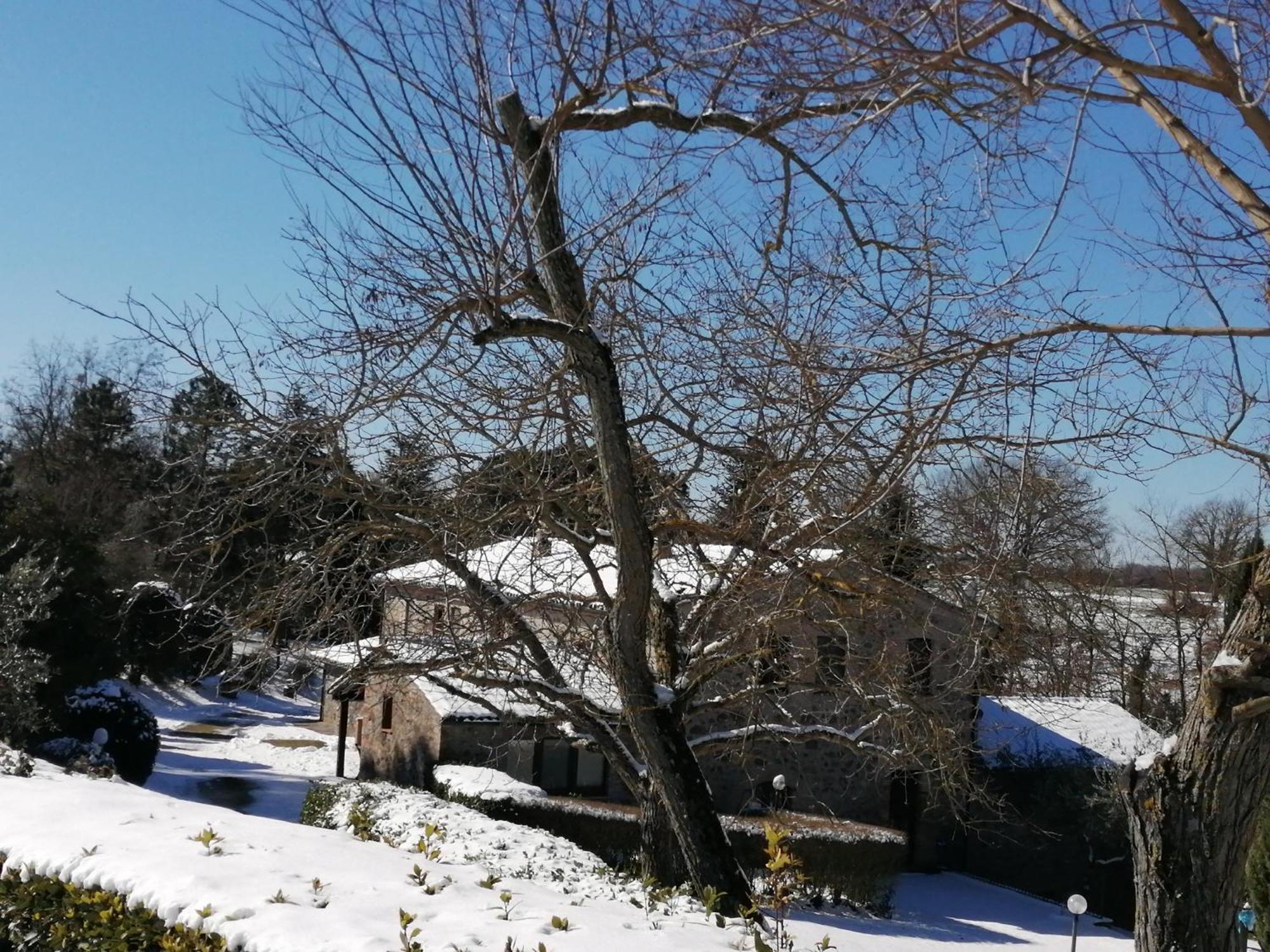 Castel Viscardo Agriturismo Il Cornalino מראה חיצוני תמונה