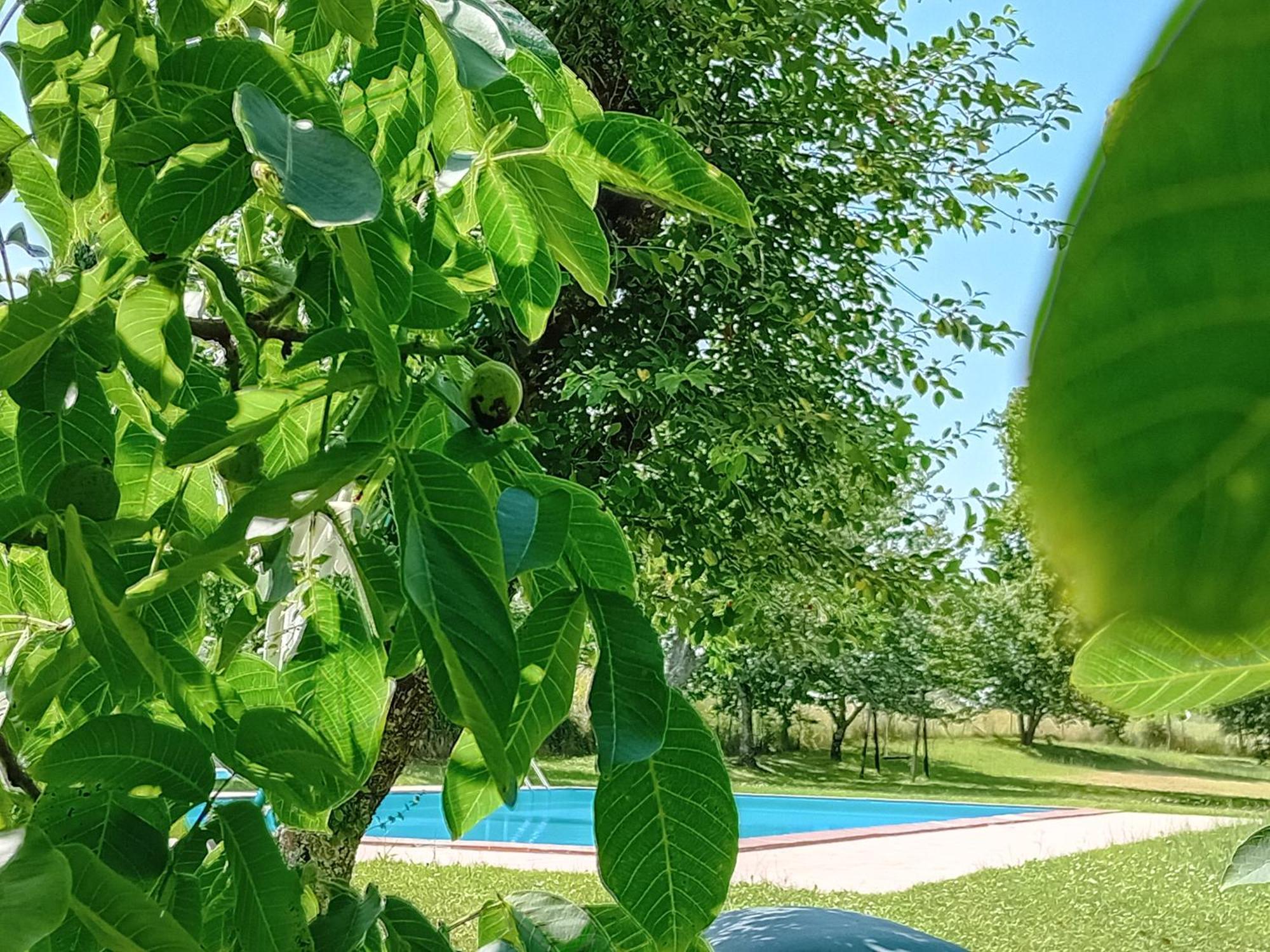 Castel Viscardo Agriturismo Il Cornalino מראה חיצוני תמונה