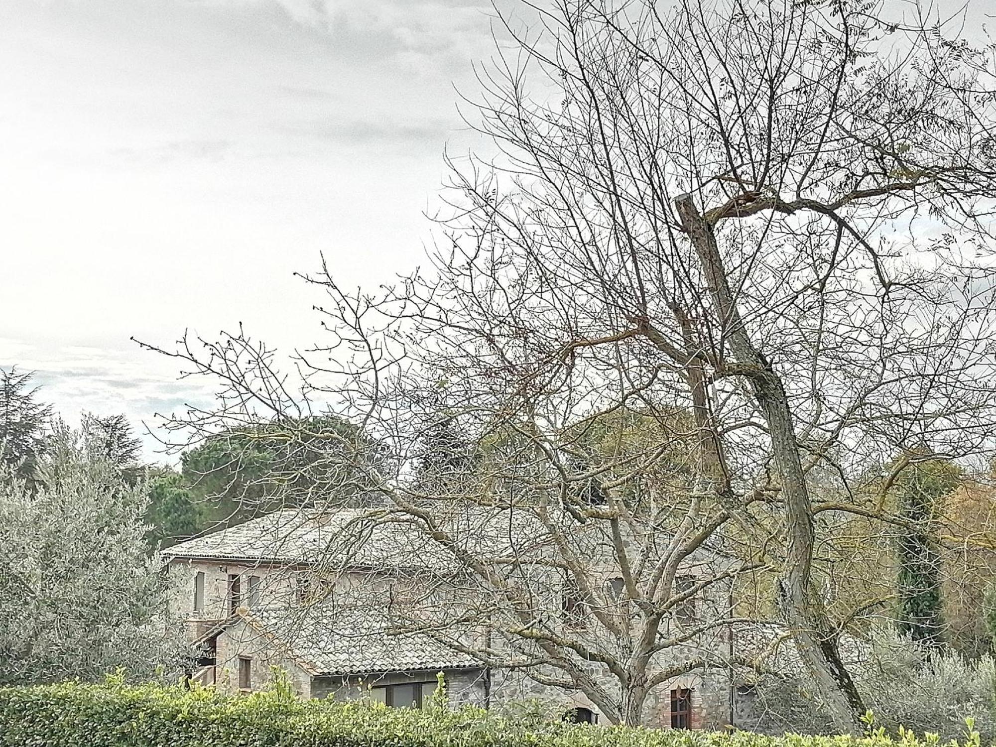 Castel Viscardo Agriturismo Il Cornalino מראה חיצוני תמונה