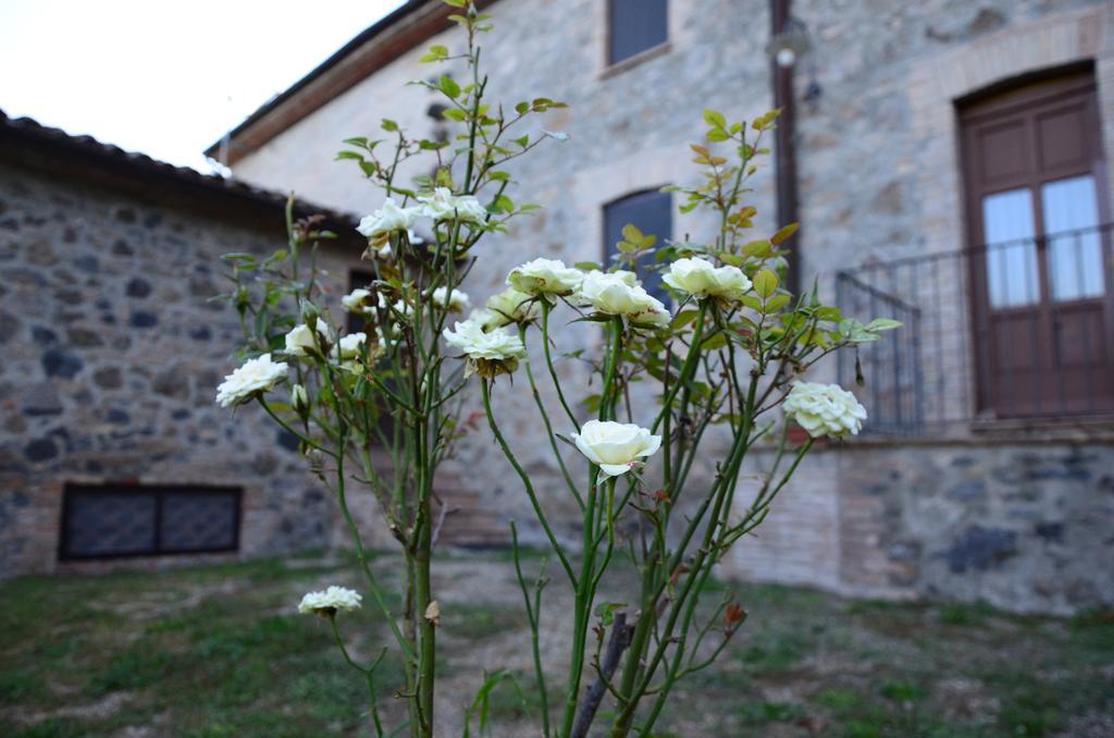 Castel Viscardo Agriturismo Il Cornalino מראה חיצוני תמונה